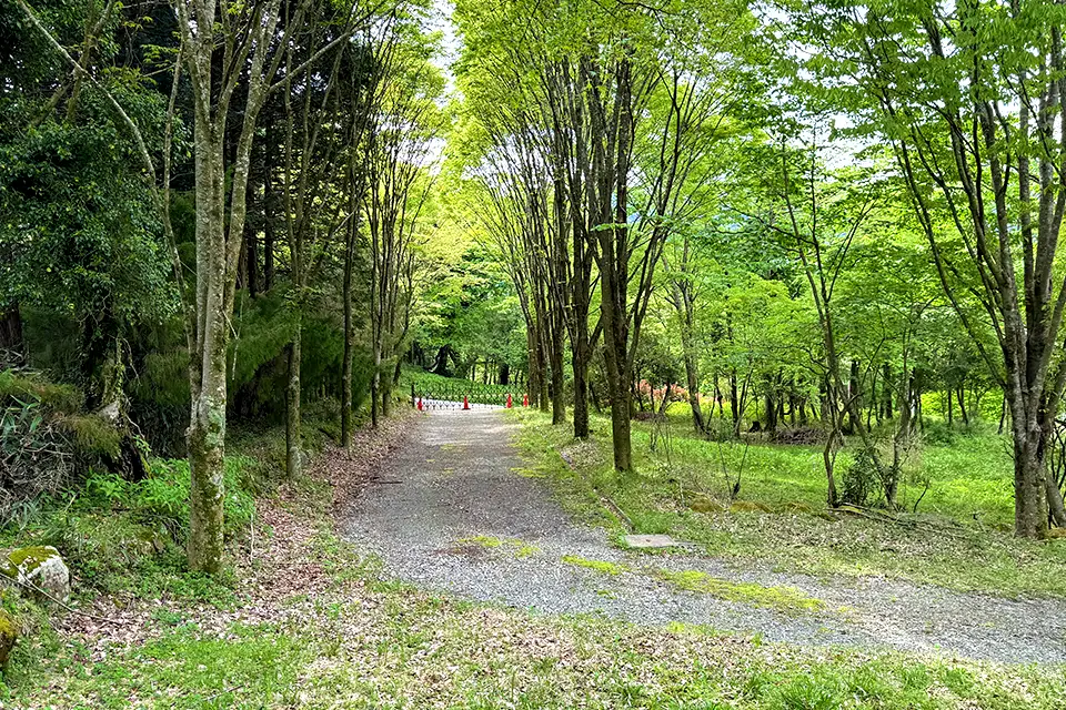 Hakone 01の敷地の接道部分の写真
