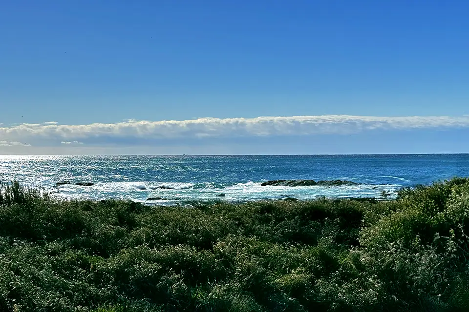 Minamiboso 01の現地から海を望む写真