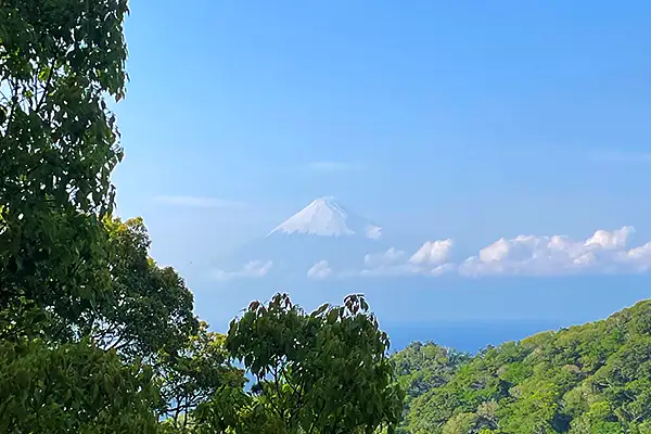 現地から望む富士山の写真