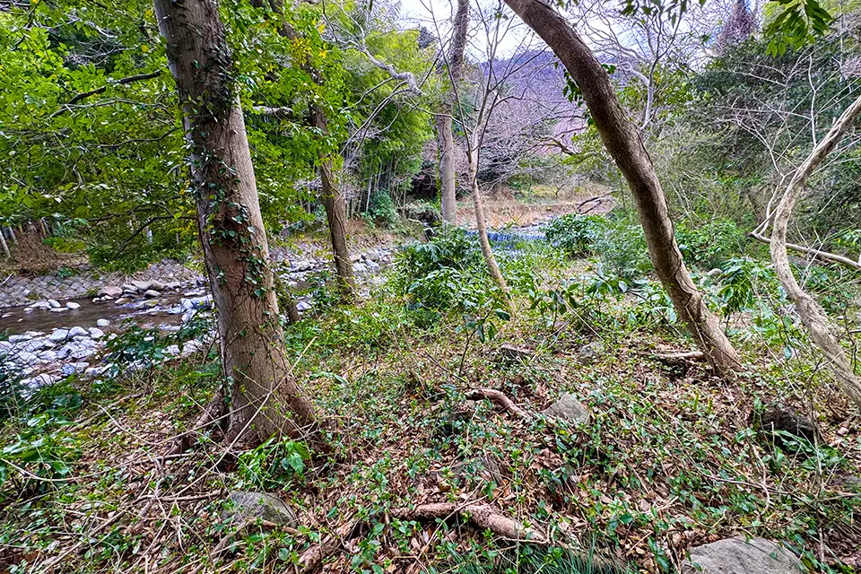 Yugawara 01の敷地から新崎川を望む写真