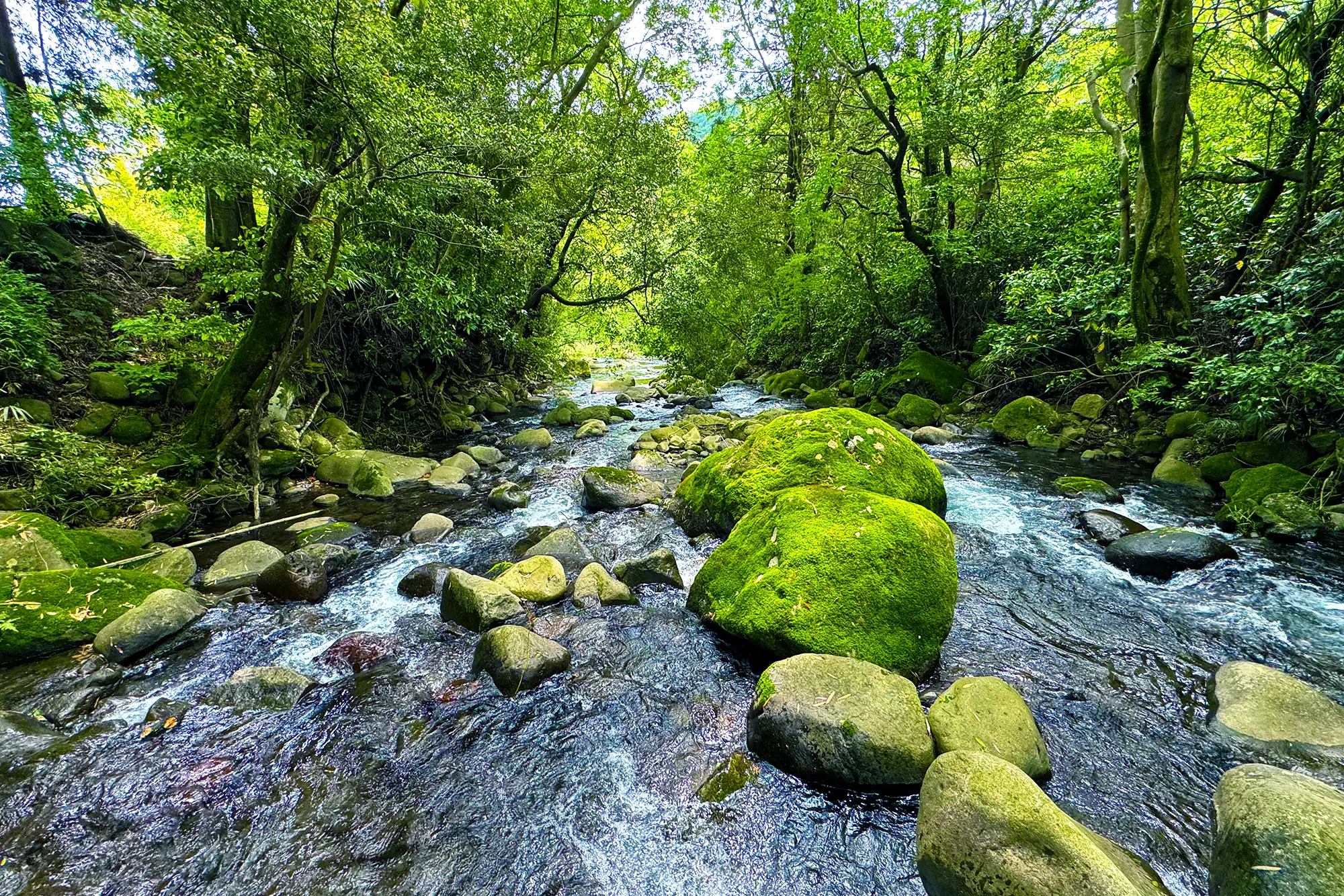 Yugawara 01の画像